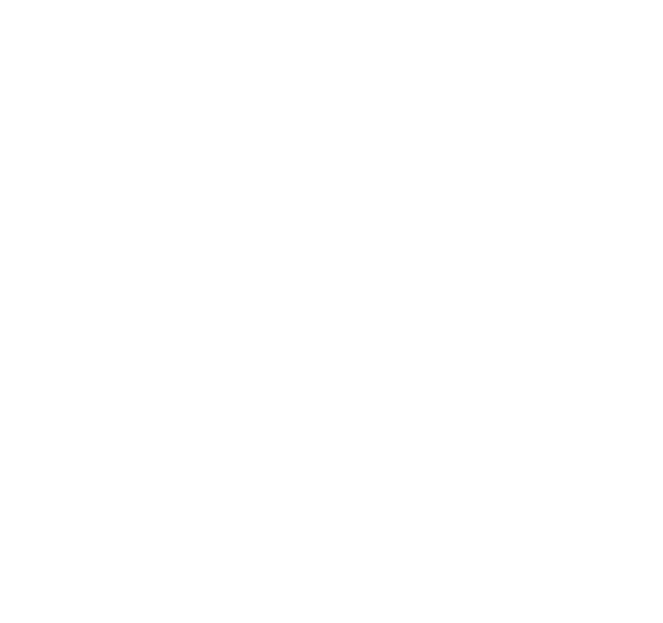 P1000596