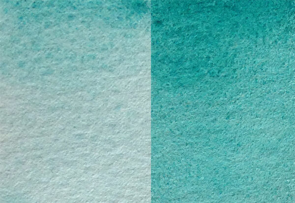 Mioumiou aquarelle artisanale La Panthere loir