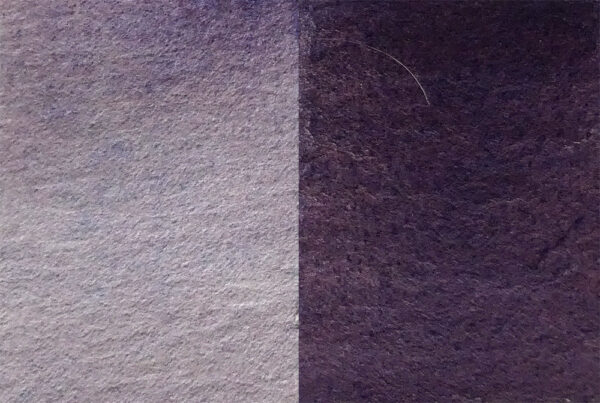 Sortilege aquarelle artisanale La panthere loir