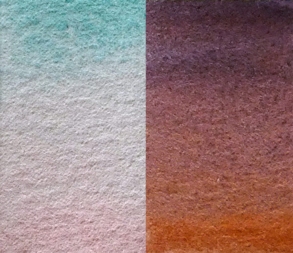 set médiévale la panthere loir aquarelle