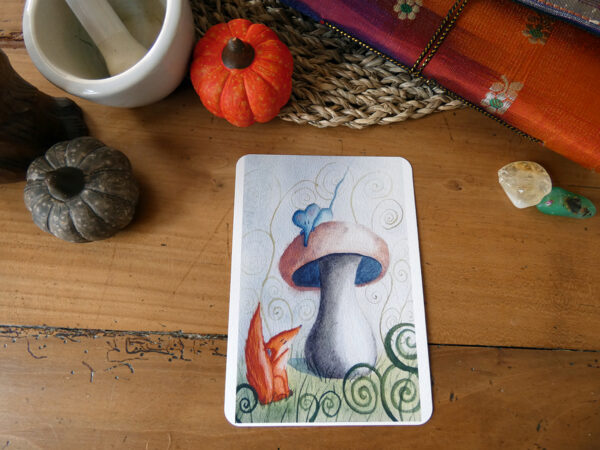 carte renard et souris