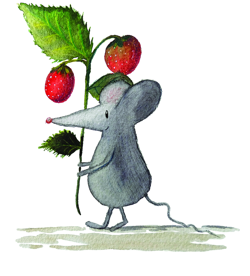 Souris aux fraises web chat dans son panier la panthere loir