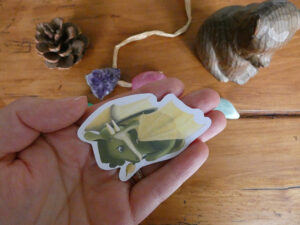 Stickers "Bourgeon le dragonnet"