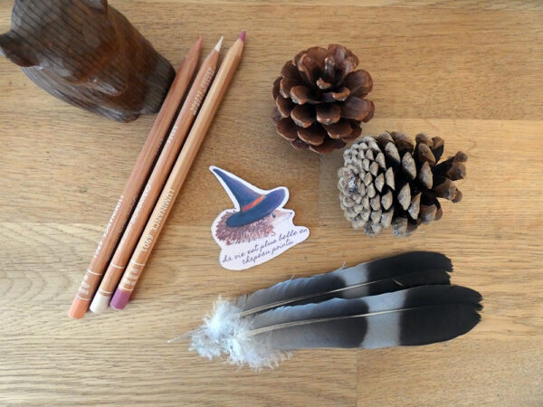 Stickers "Hérisson sorcier" – Image 3